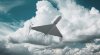 ���� ���� ��������� �� ������ ��������� ������-�������� - Bloomberg
