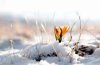 В Україну повернеться зима: синоптики розповіли, коли знову випаде сніг