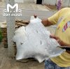 �������� � ���������� ������: ���������� ������ ��� ����� ������ �� �����������